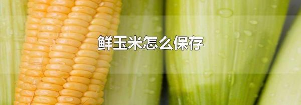 鲜玉米怎么保存