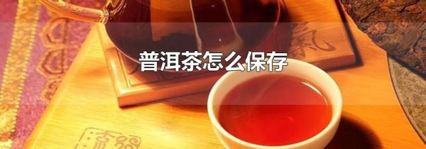 普洱茶怎么保存