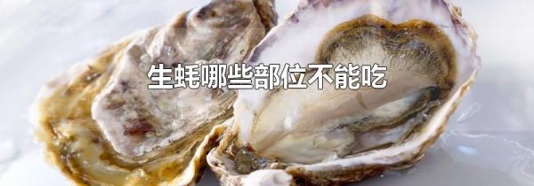 生蚝哪些部位不能吃