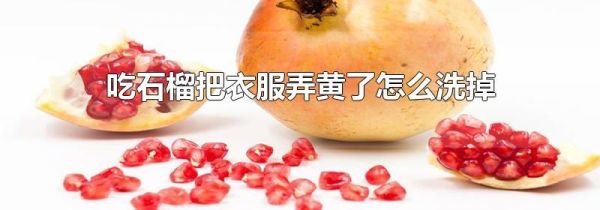 吃石榴把衣服弄黄了怎么洗掉
