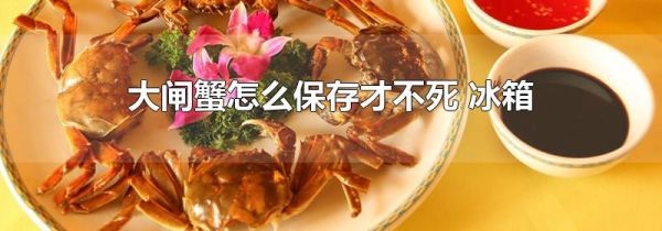 大闸蟹怎么保存才不死 冰箱