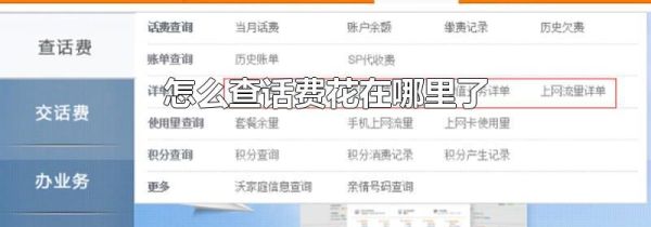 怎么查话费花在哪里了