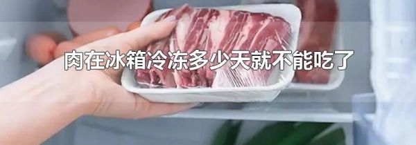 肉在冰箱冷冻多少天就不能吃了