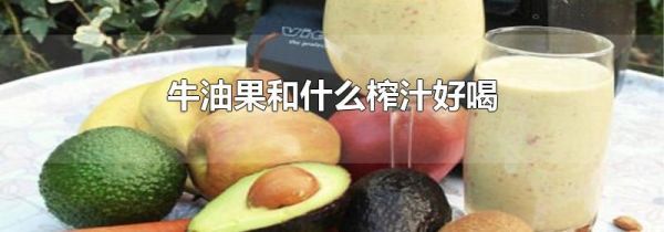 牛油果和什么榨汁好喝