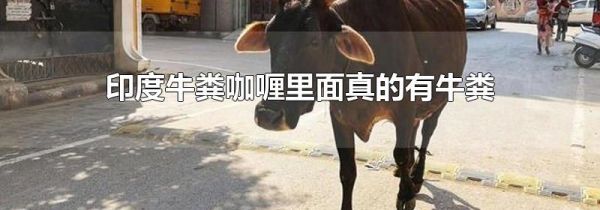 印度牛粪咖喱里面真的有牛粪吗