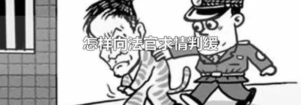 怎样向法官求情判缓
