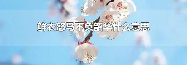 鲜衣怒马不负韶华什么意思