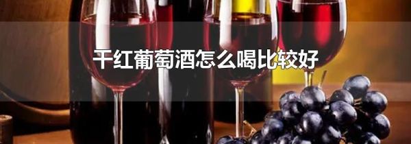 干红葡萄酒怎么喝比较好