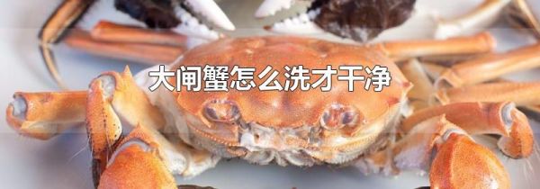大闸蟹怎么洗才干净