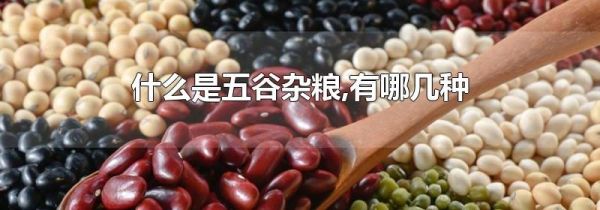 什么是五谷杂粮,有哪几种