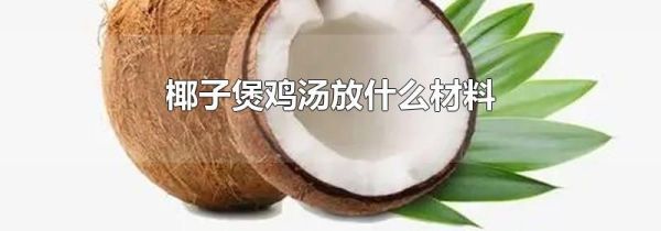 椰子煲鸡汤放什么材料