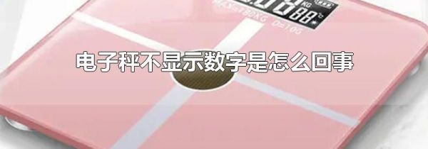 电子秤不显示数字是怎么回事