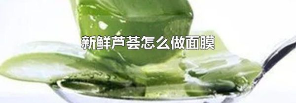 新鲜芦荟怎么做面膜
