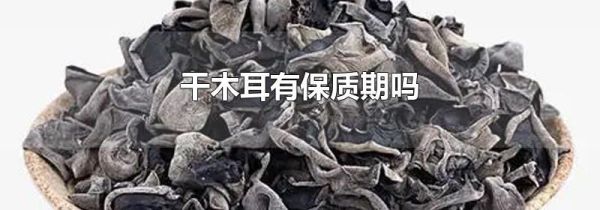 干木耳有保质期吗