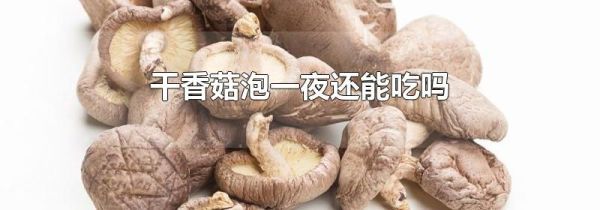 干香菇泡一夜还能吃吗