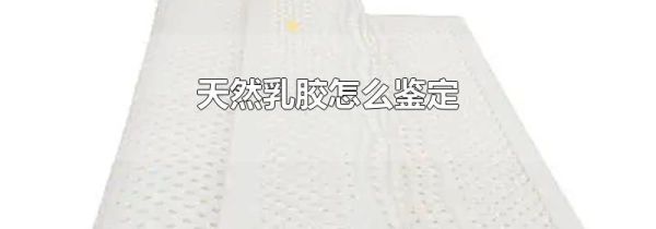 天然乳胶怎么鉴定