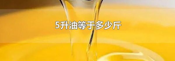 5升油等于多少斤