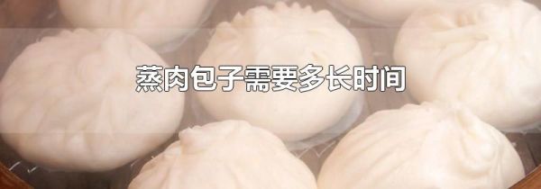蒸肉包子需要多长时间
