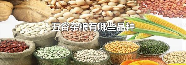 五谷杂粮有哪些品种