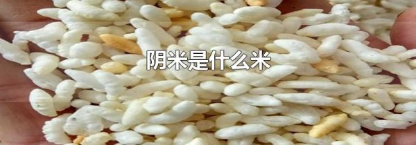阴米是什么米