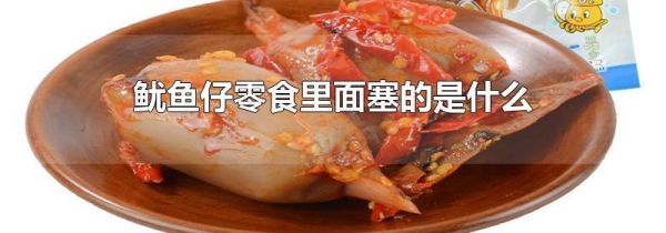 鱿鱼仔零食里面塞的是什么