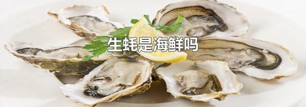 生蚝是海鲜吗