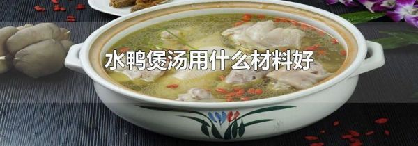 水鸭煲汤用什么材料好