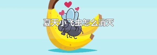 夏天小飞虫怎么消灭