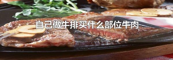 自己做牛排买什么部位牛肉