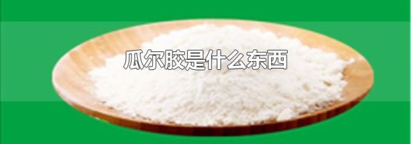 瓜尔胶是什么东西