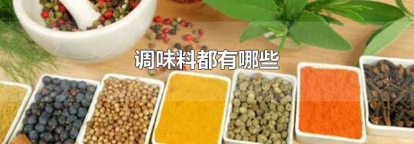 调味料都有哪些
