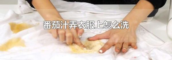 番茄汁弄衣服上怎么洗