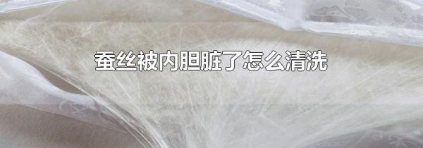蚕丝被内胆脏了怎么清洗