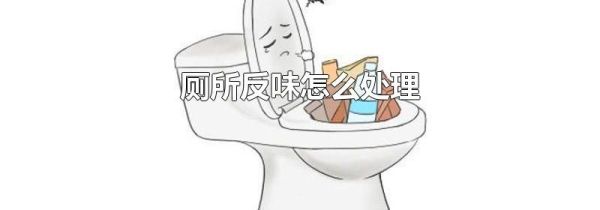 厕所反味怎么处理