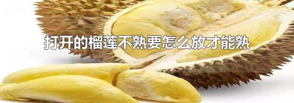 打开的榴莲不熟要怎么放才能熟