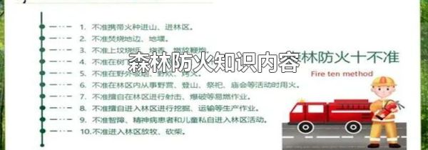 森林防火知识内容