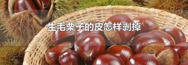 生毛栗子的皮怎样剥掉