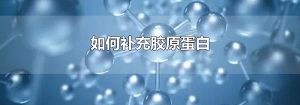 如何补充胶原蛋白