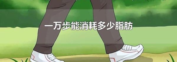 一万步能消耗多少脂肪