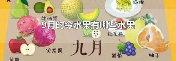 9月时令水果有哪些水果