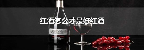 红酒怎么才是好红酒