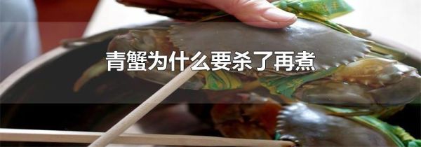 青蟹为什么要杀了再煮