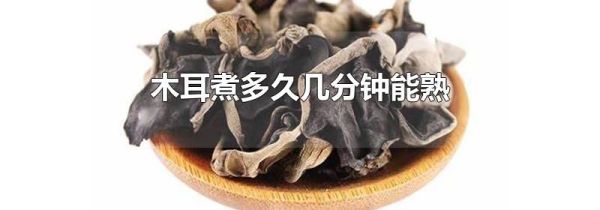 木耳煮多久几分钟能熟