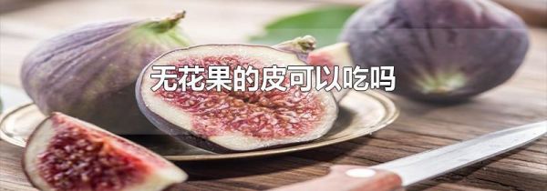 无花果的皮可以吃吗