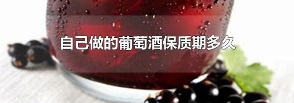 自己做的葡萄酒保质期多久