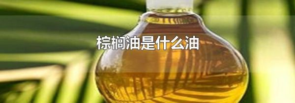 棕榈油是什么油