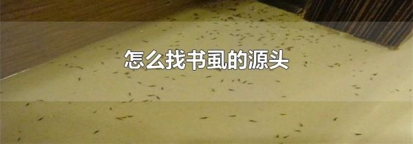 怎么找书虱的源头