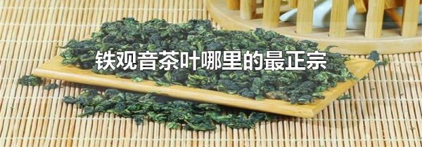 铁观音茶叶哪里的最正宗
