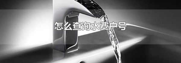 怎么查询水费户号