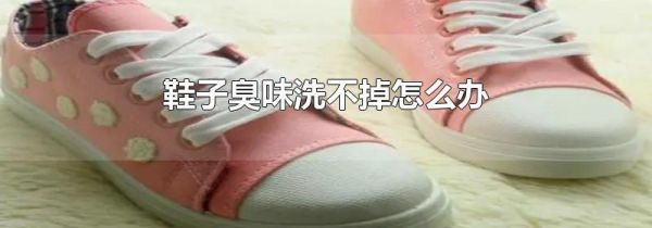 鞋子臭味洗不掉怎么办